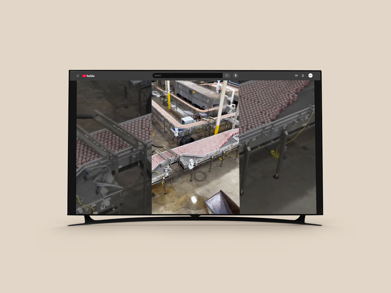 Buckaroo Marketing - Innovative Handling Systems