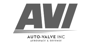 Buckaroo Marketing - Auto-Valve Inc.