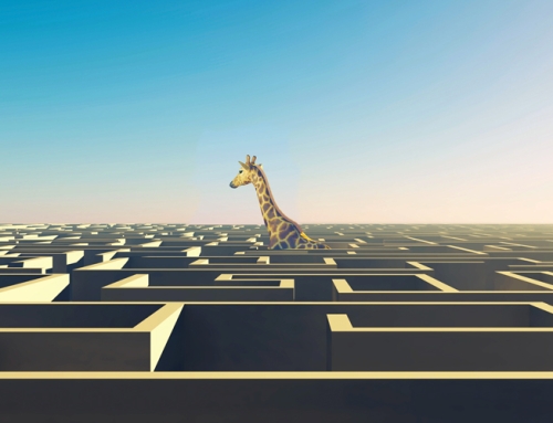 Moving from Organic to Strategic Growth Demands Critical Intel