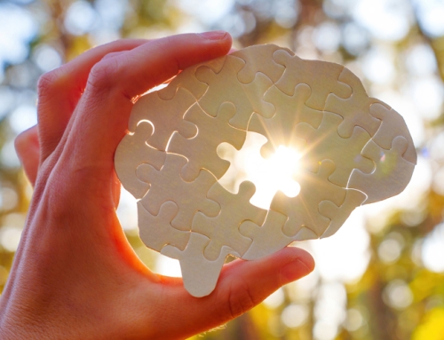 From Decline to Direction: How Focused Strategy Reversed a 75% Sales Drop