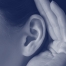 Buckaroo Marketing - Companies That Listen to Customers Grow Faster