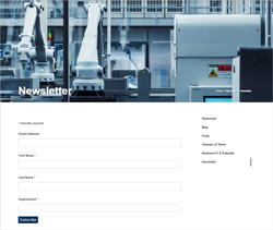 Buckaroo Marketing - Newsletter & Insights