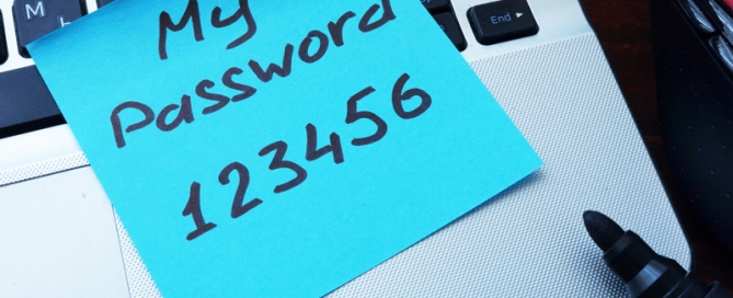 Buckaroo Marketing - My Password